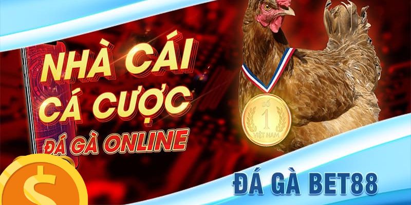 Tại sao đá gà Bet88 lại thu hút nhiều người chơi đến vậy